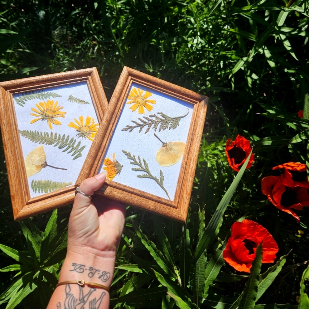 Whimsical pressed botanical set🌿